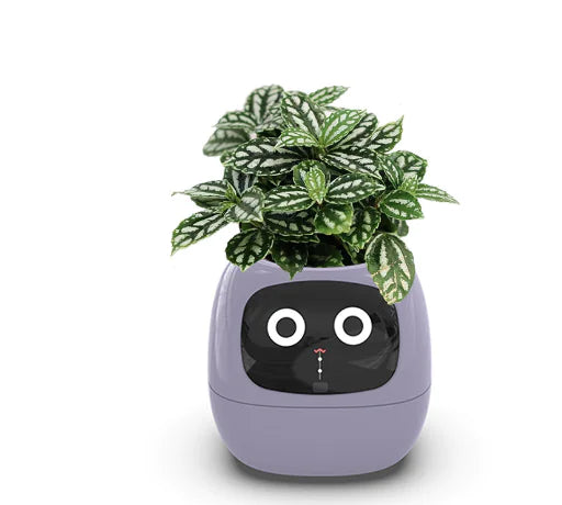 SmartGrow Planter – AI Expressions & Sensors